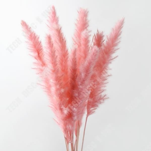 TD® torkade blommor i naturliga primärfärger Pink Bunny Tail Heminredningspaket med 15