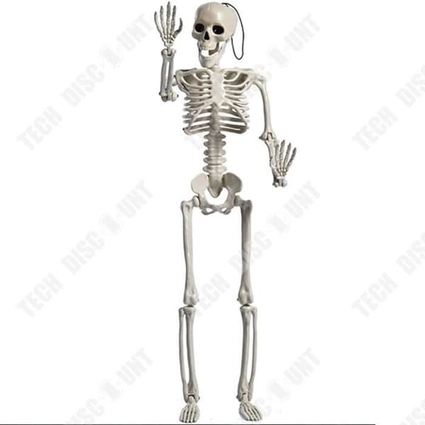 TD® Plastikskelet 165 cm Vit Mänskligt skelett Att hänga Plastikskelet Designat för Halloween-dekorationer