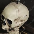 Miniatyrbild 3 av 4: TD® Plast Skelett 90 cm Vit Mänskligt Skelett Hängande Plast Skelett Designat för Halloween-dekorationer
