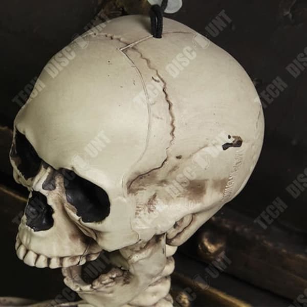 TD® Plast Skelett 90 cm Vit Mänskligt Skelett Hängande Plast Skelett Designat för Halloween-dekorationer