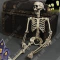 Miniatyrbild 4 av 4: TD® Plast Skelett 90 cm Vit Mänskligt Skelett Hängande Plast Skelett Designat för Halloween-dekorationer
