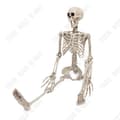 Miniatyrbild 1 av 4: TD® Plast Skelett 90 cm Vit Mänskligt Skelett Hängande Plast Skelett Designat för Halloween-dekorationer