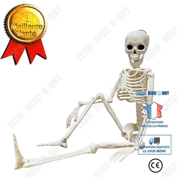 TD® Halloween dekoration halloween Skelett Skelett 40cm Simulering Mänskligt plastskelett Scenarrangemang Rekvisita