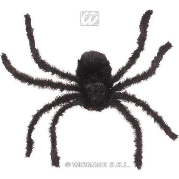 Jättehårig spindel (75 cm)