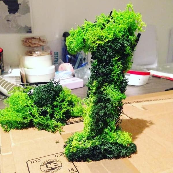 Grönlandsmousse, mörkgrön