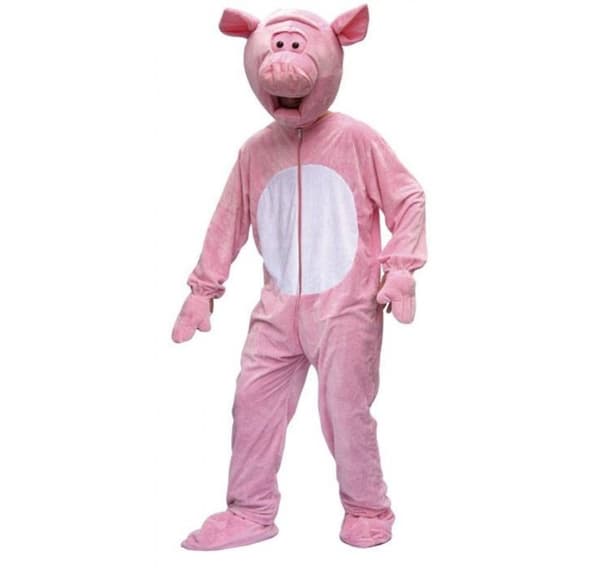 Costume pig