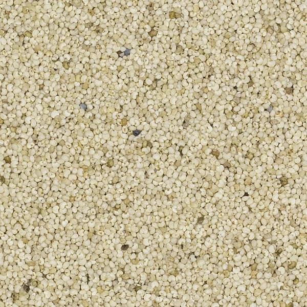 Hvide valmuefrø 500 g