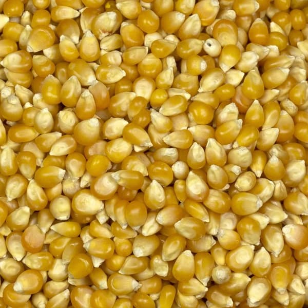 Popcorn 200g