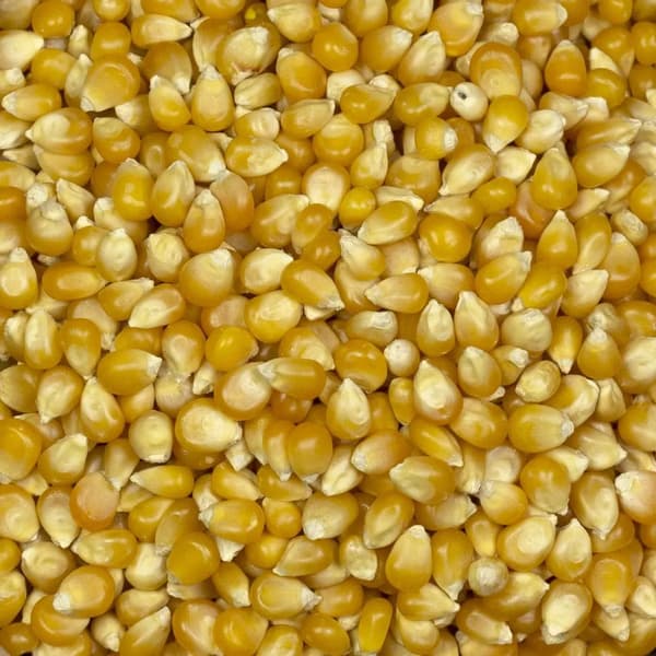 Popcornia 1 kg (2 x 500 g)