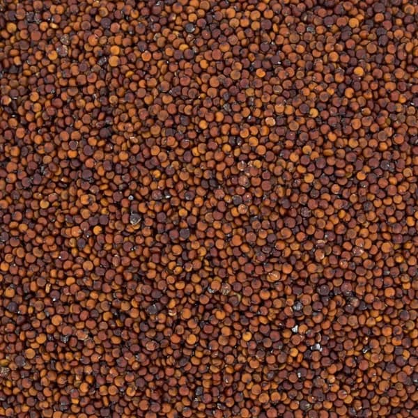 Rød quinoa - quinoa 500g