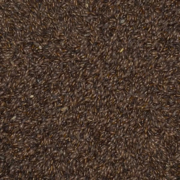 Psyllium-kuori 500 g