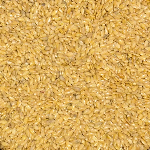 Gyllene linfrön 1 kg