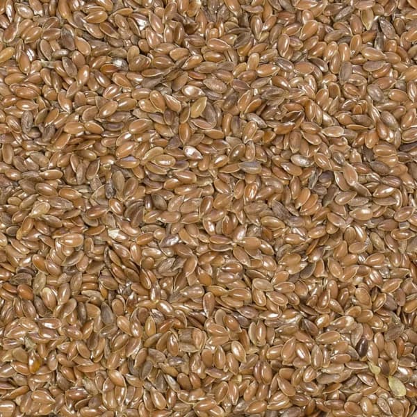 Pellavansiemensetti 2 x 1 kg