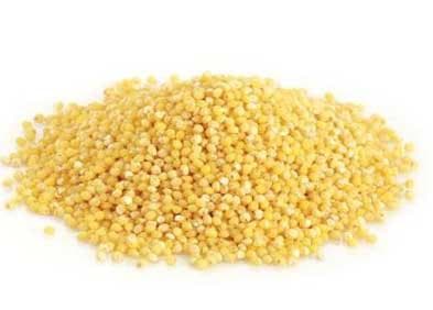 HIRSSIT 5kg