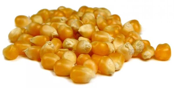 POPCORNIA 5kg