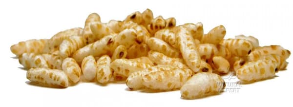 PACKAT RIS 100g