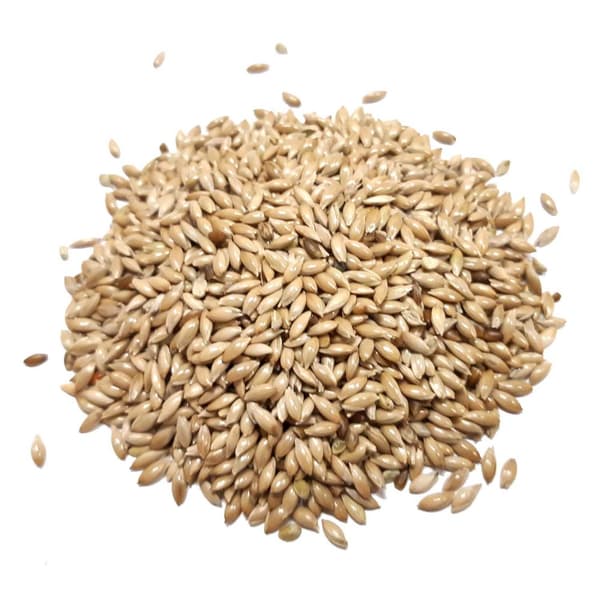 Kanarieblomstfrø - Kanarieblomstfrø 1kg