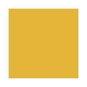 Derwent Pastell Maskros (060)