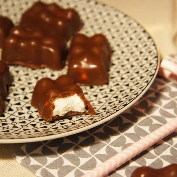 6 silikonformar för marshmallow-chokladbjörn