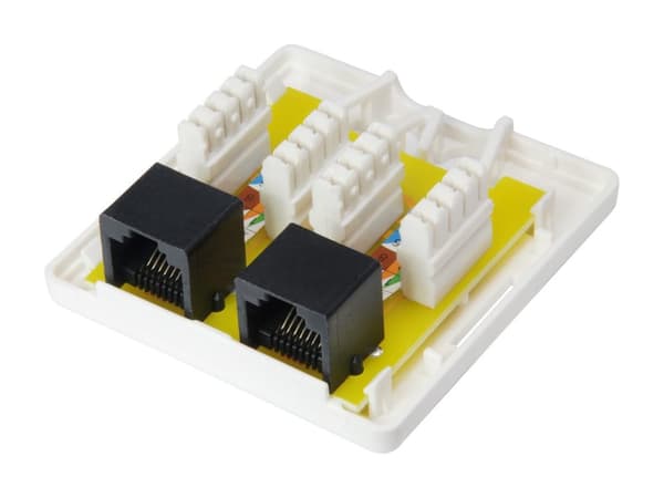 equip Pro - Installationsboks netværksinterface - RJ-45 X 2 - hvid, RAL 9010 (235214)