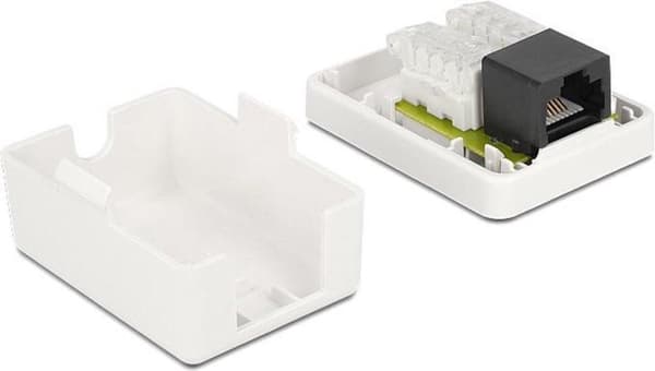 DeLOCK CAT6 Gigabit nätverksutgångsbox/monteringsbox med 1 RJ45-port - verktygsfri / vit