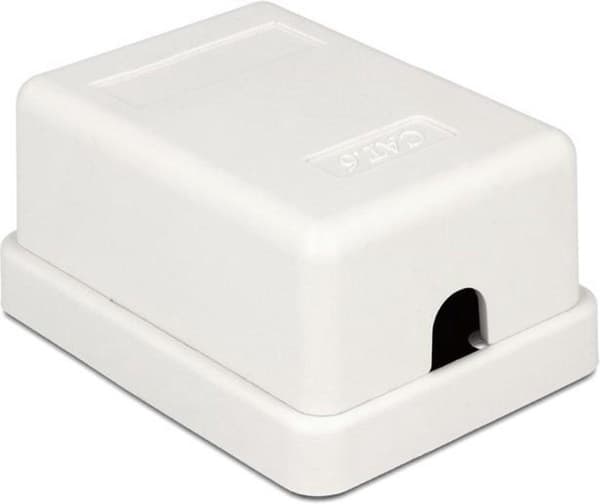 DeLOCK CAT6 Gigabit nätverksutgångsbox/monteringsbox med 1 RJ45-port - verktygsfri / vit