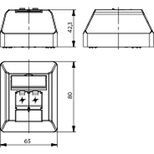 Telegärtner AMJ45 8/8 K AP Cat.6A - Pistorasia - RJ-45 X 2 - Alpine White (J00023A0204)