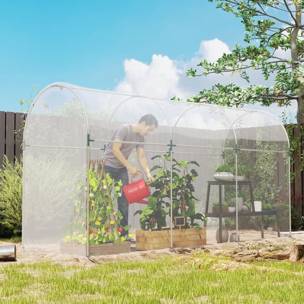 Drivhusfolie, 7x8 m, Transparent