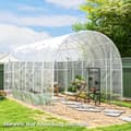 Miniatyrbillede 2 af 9: Drivhusfolie, 7x8 m, Transparent