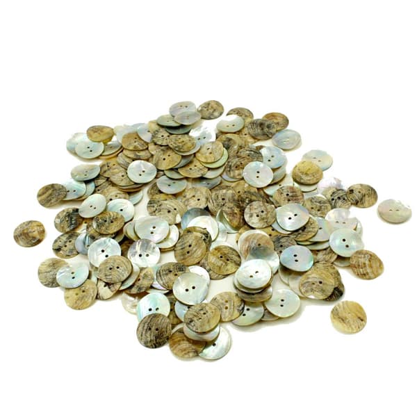 60 snäckskals knappar natur 10 mm