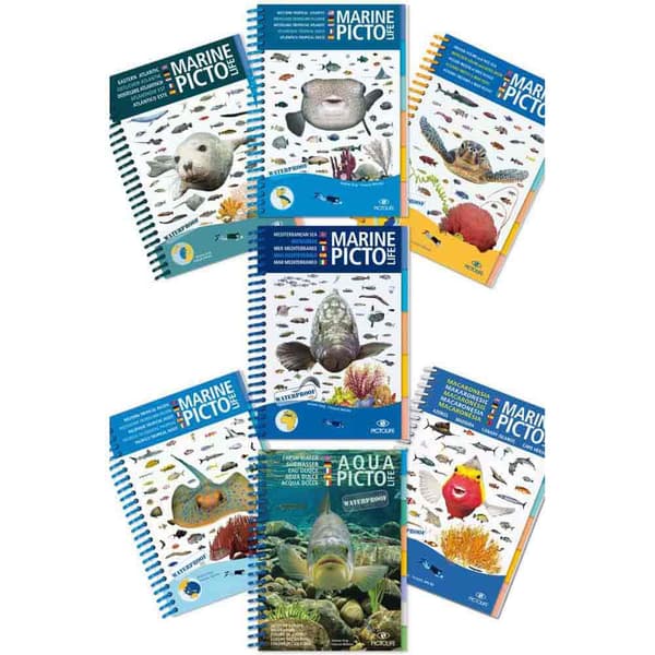 Pictolife Caribisk Marine Blå