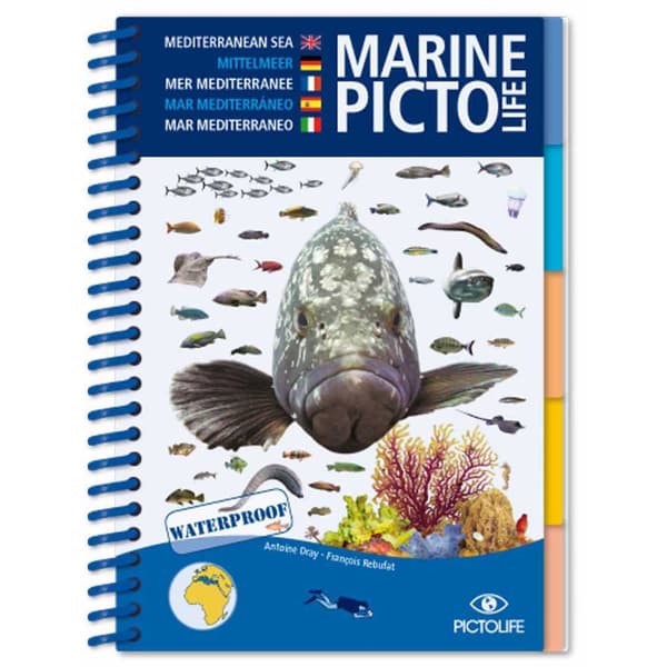 Pictolife Caribisk Marine Blå