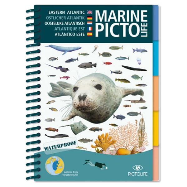 Pictolife Marine Eeastern Atlantic Valkoinen,Sininen