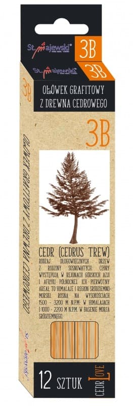 Cederträgrafitpennor 12st 3B Majewski