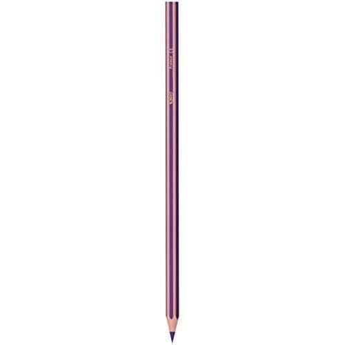 BIC 950524 Kids Evolution Randiga Färgpennor – Blandade färger (Pack av 18)