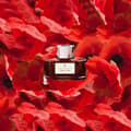 Miniatyrbild 4 av 4: Encre Graf von faber-castell - 141019 - Encre Verre Indian Rouge