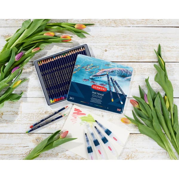 Derwent Metallisk Kasse Blyant Inktense 24 Enheder Flerfarvet