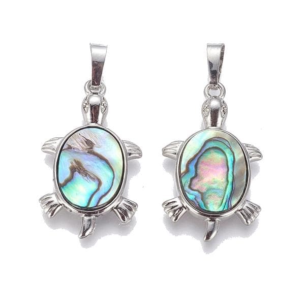 1 hänge abalone sköldpadda shell