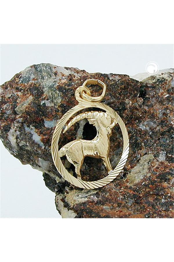 Pendant 15mm Zodiac Sign Capricorn 9k Gold - GL430444