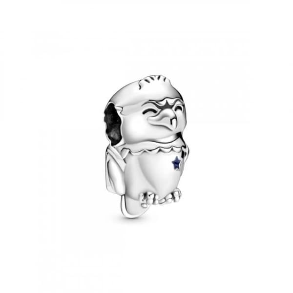 Pandora berlock 799029C01