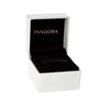 Miniatyrbild 2 av 2: PANDORA Silver Mixed Armband - Craze I0SPG - Paw Prints cz 791714CZ