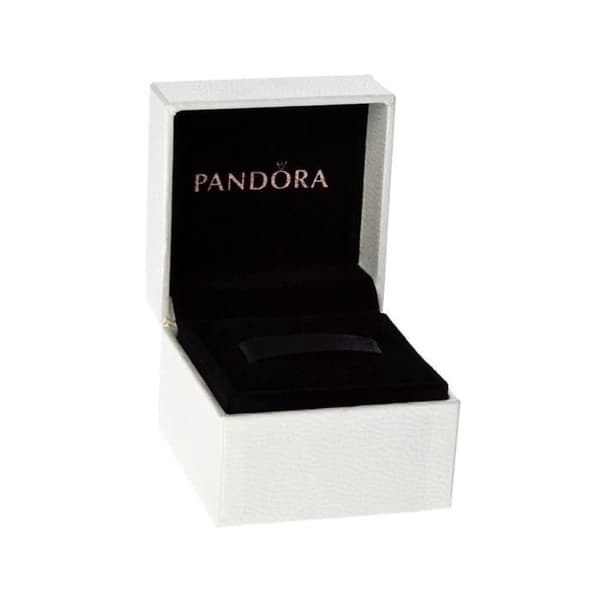 PANDORA Silver Mixed Armband - Craze I0SPG - Paw Prints cz 791714CZ