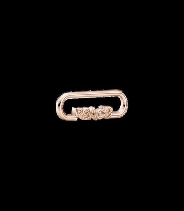 Pandora berlock 789698C00