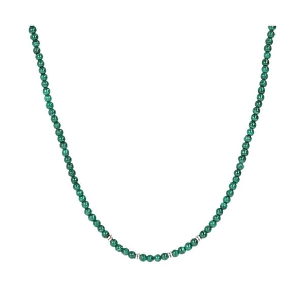 Damhalsband Albert M. WSOX00209.MLC