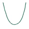 Miniatyrbild 1 av 2: Damhalsband Albert M. WSOX00209.MLC