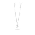 Miniatyrbild 1 av 4: Damhalsband Radiant RY000066 50 cm