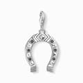 Pikkukuva 2 / 2: Miesten riipukset Thomas Sabo 1560-643-11 2 cm