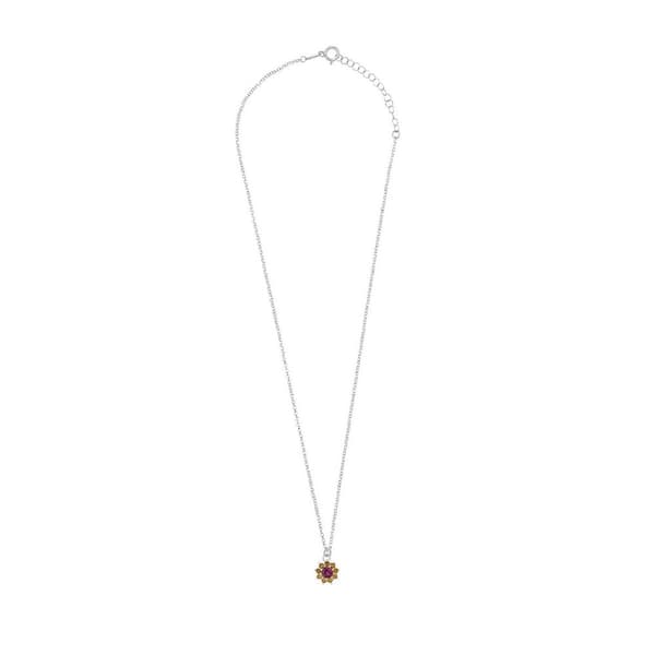 Damhalsband Radiant RY000118 40 cm