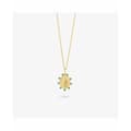 Miniatyrbild 2 av 2: Damhalsband Radiant RY000157 45 cm