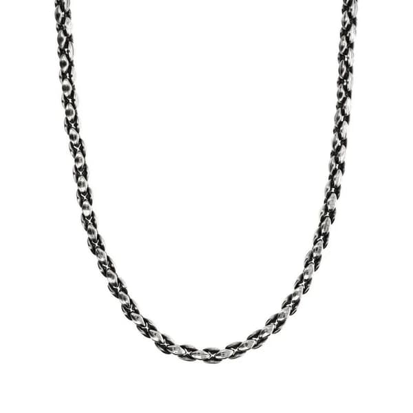 Damhalsband Albert M. WSOX00542.S-50